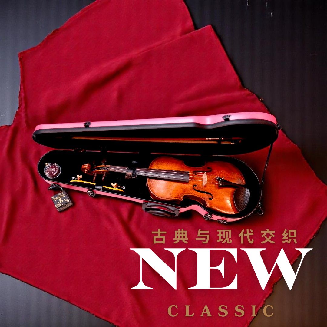 Finechord® Official | Singapore-Designed Violin Cases & Accessories