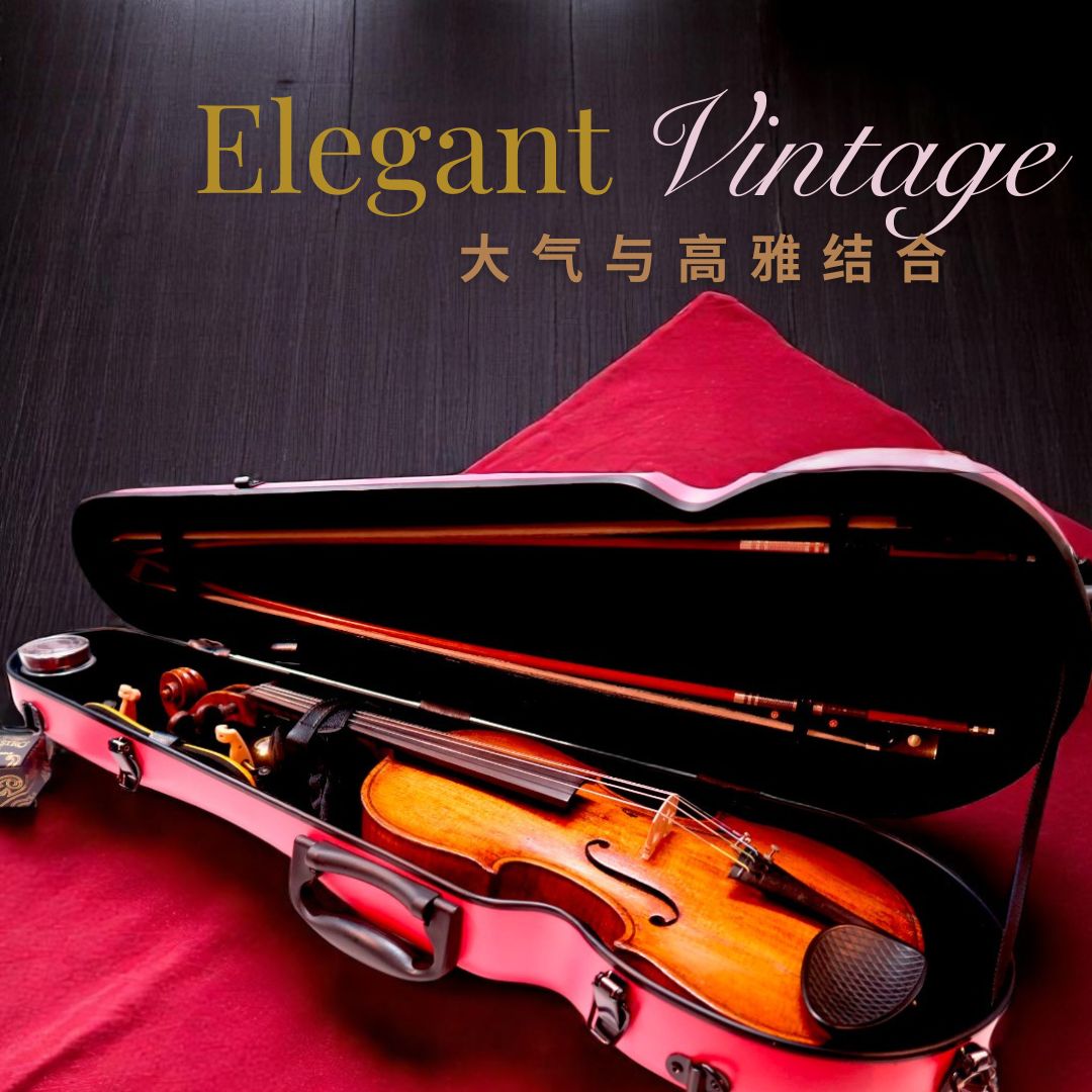 Finechord® Official | Singapore-Designed Violin Cases & Accessories