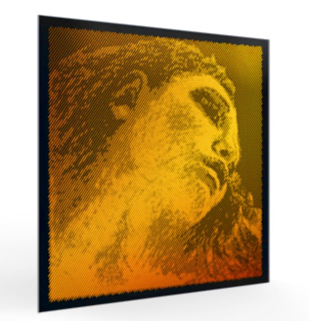 Evah Pirazzi Gold Violin Strings