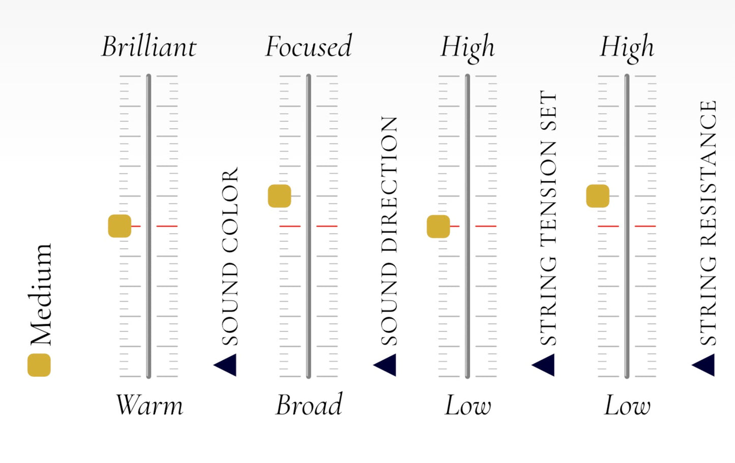 Aurora Viola String Set