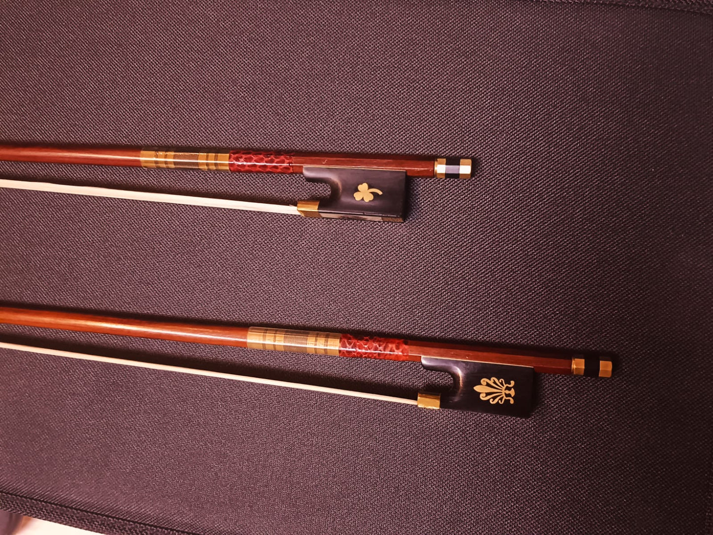 Finechord Brazil Wood intermediate Practice Bow