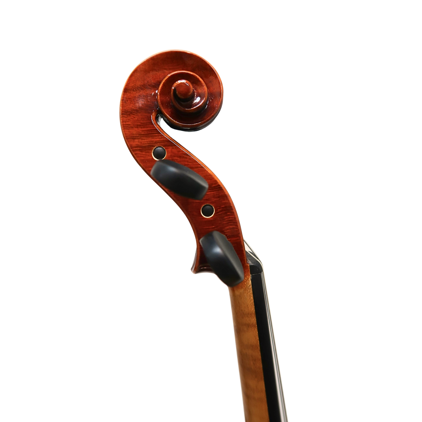 Italian Cremona Violin 4/4 by Tania Stanini