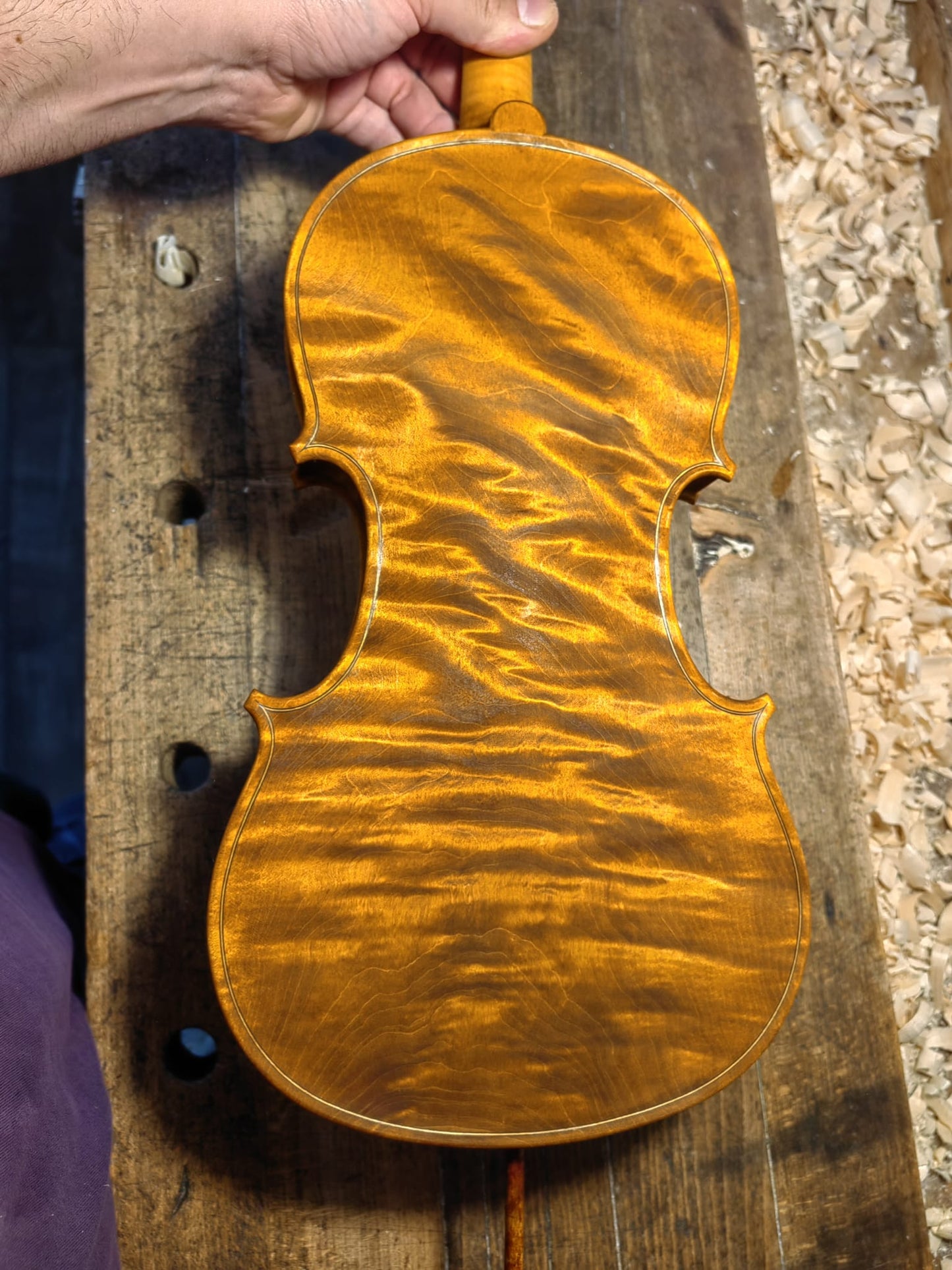 Nikola Nikolov Master Violin 2025 – Handmade in Cremona, Italy | Premium One-Piece Flamed Maple