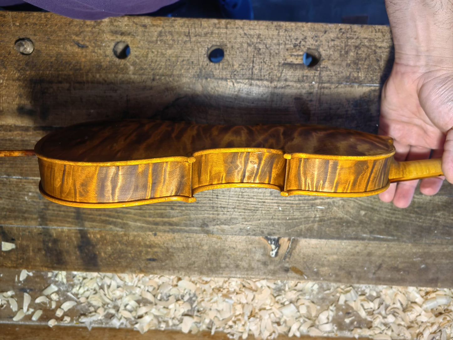 Nikola Nikolov Master Violin 2025 – Handmade in Cremona, Italy | Premium One-Piece Flamed Maple